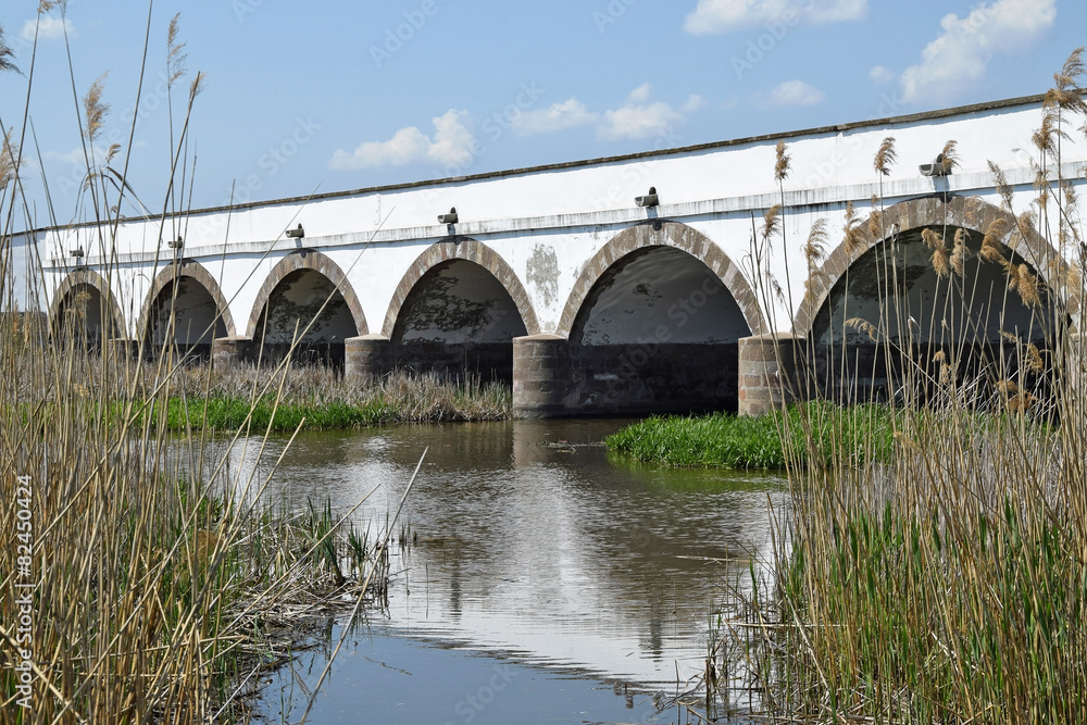 Fototapeta premium Stone bridge over the river Hortobagy