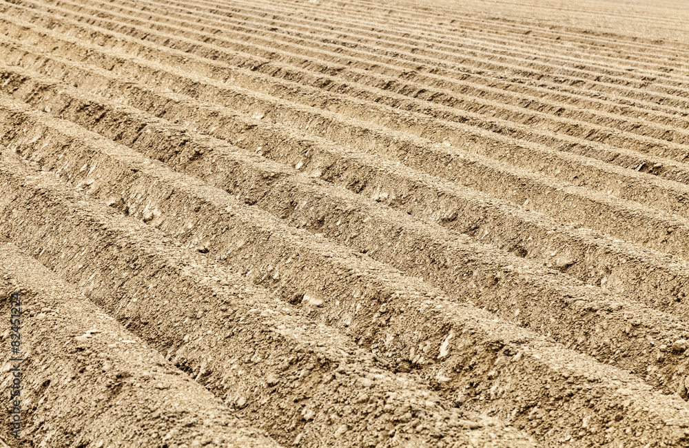 Furrows Abstract Furrows Abstract