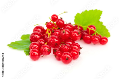 Red currants and green leaves on white background