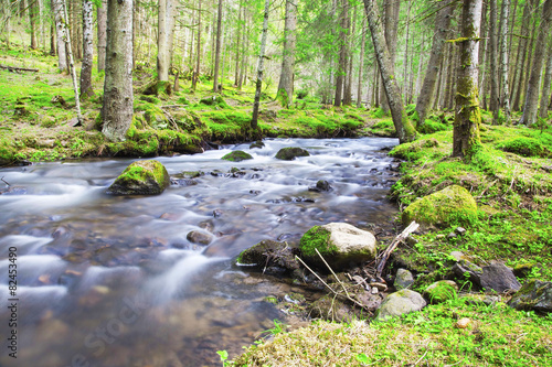 Spring Forest Lanscape with River Flowing