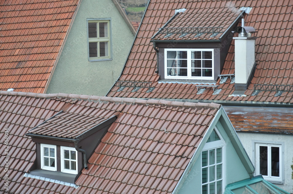 Roofs of houses