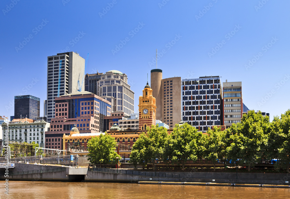 Melbourne River Bank Trees Day Melbourne River Bank Trees Day