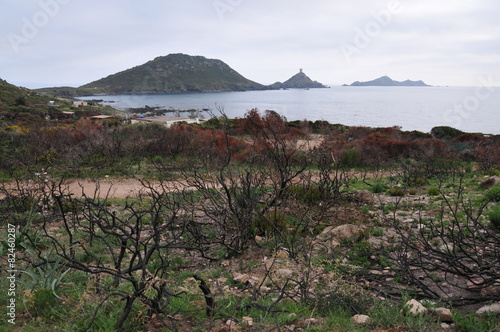 Aiacciu - Ajaccio - Corse du Sud photo