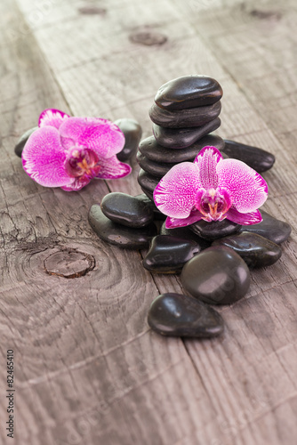 Fuchsia Moth orchids and black stones 