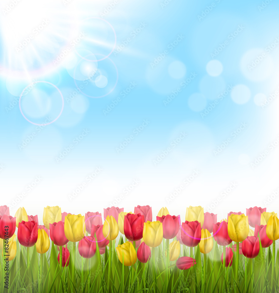 Green grass lawn with yellow and red tulips and sunlight on sky. Green grass lawn with yellow and red tulips and sunlight on sky.