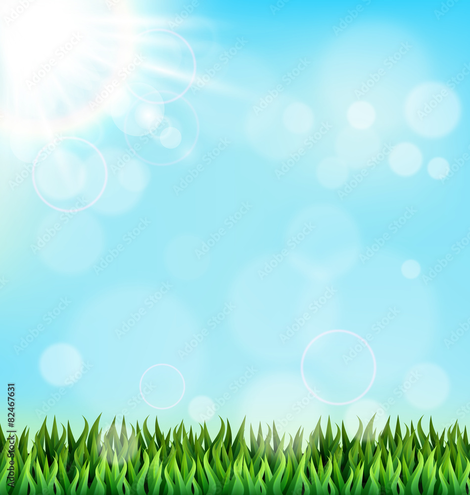 Green grass lawn with sunlight on blue sky. Floral nature spring
