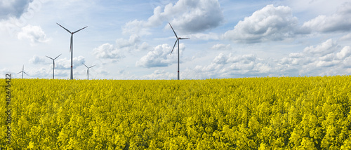Rapsfeld (Biodiesel) vor Windmühlen