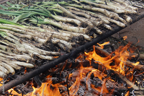 Calçot photo