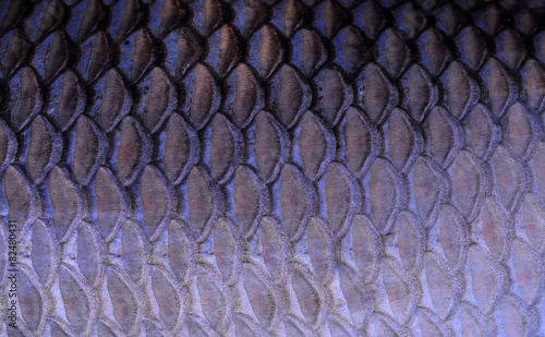 Photography texture of fish scales