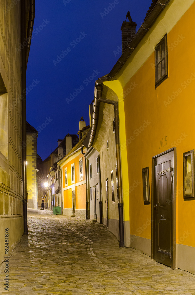 Obraz premium golden lanie in prague castle.