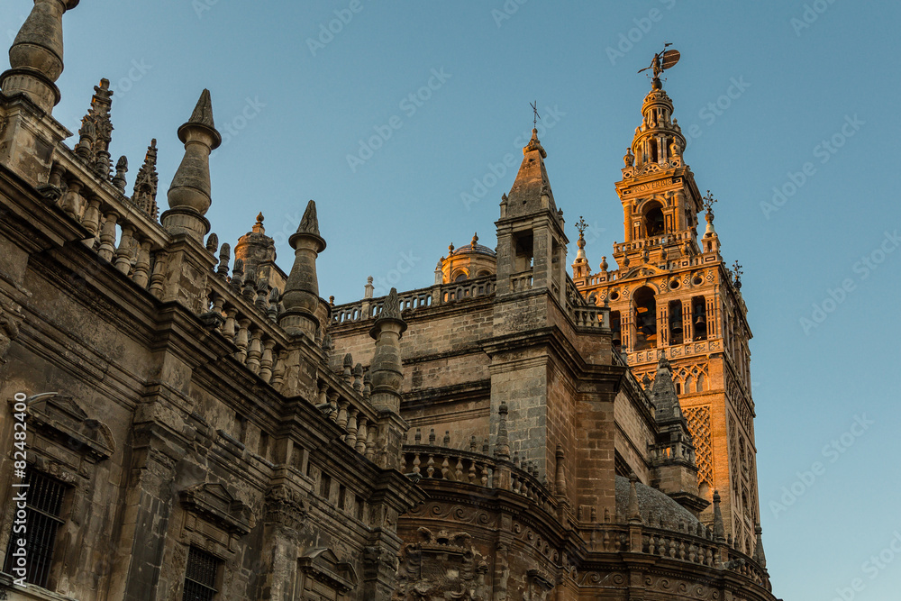 Fototapeta premium Catedral de Sevilla