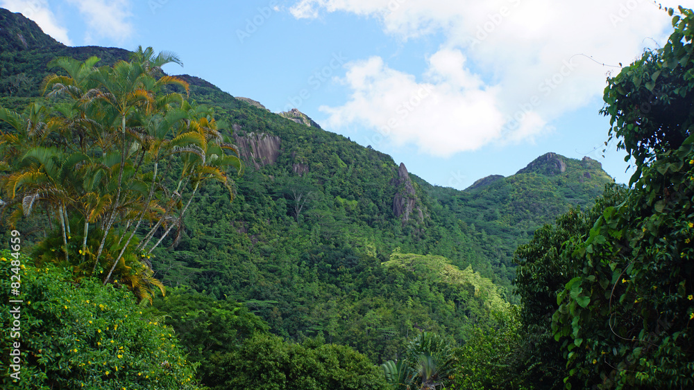 Naklejka premium green seychelles