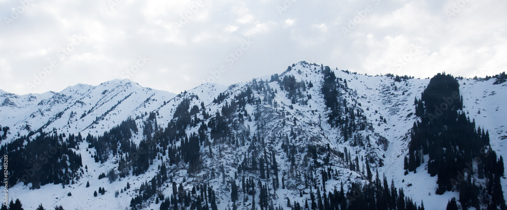 Beautiful winter landscape mountains