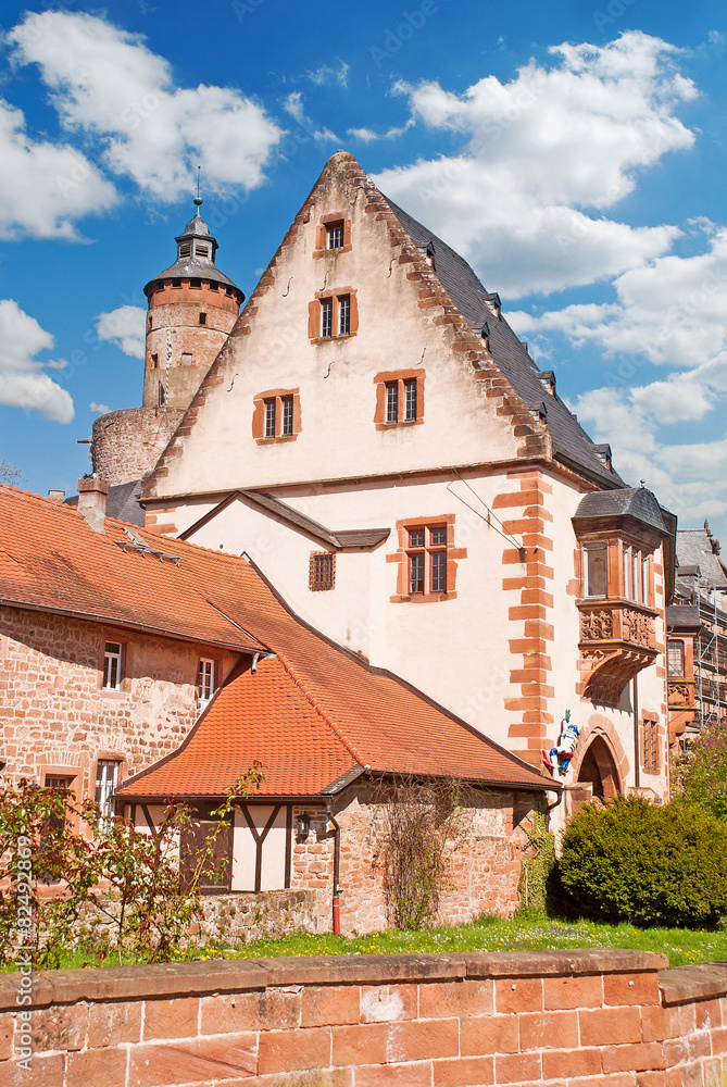 Schloss Büdingen 3