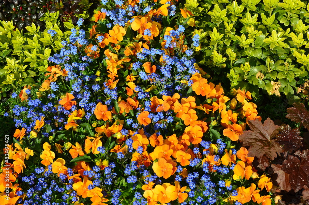 Grabgestaltung Mit Stiefmutterchen