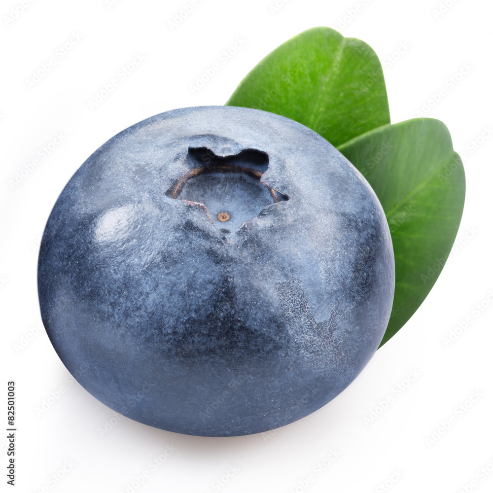 Obraz premium blueberries