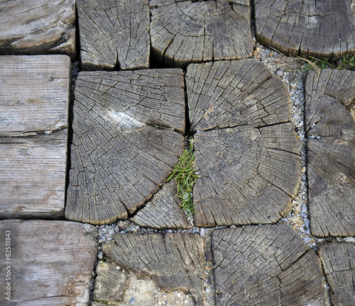 Old wooden floor path