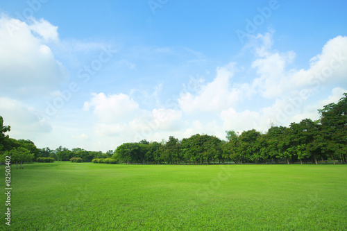 beautiful green grass field and fresh plant in vibrant meadow ag