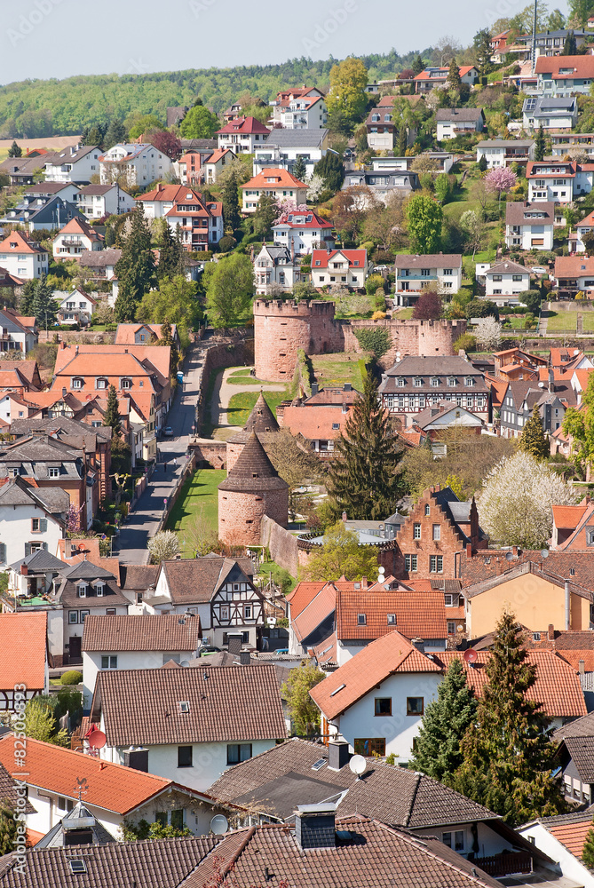 Blick auf die Stadtmauer von Büdingen vom Wilden Stein aus