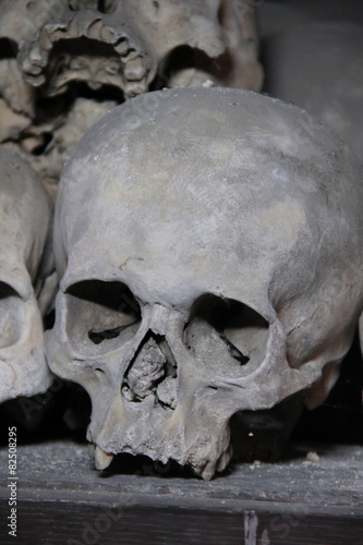 skull in the crypt