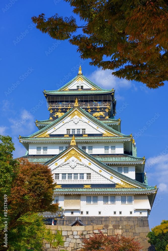 Obraz premium Osaka Castle