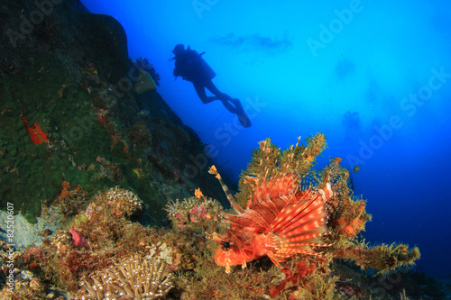 Fototapeta Naklejka Na Ścianę i Meble -  Lionfish, coral reef and scuba diver