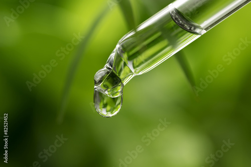 Bilde på lerret Herbal essence Dropper