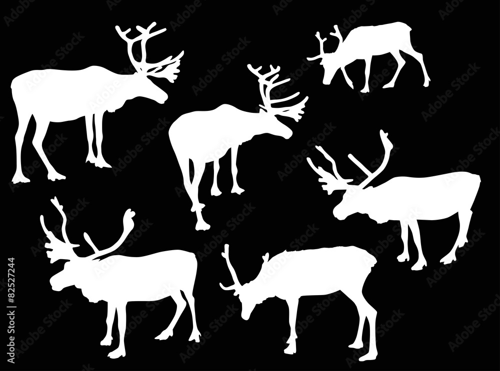 six isolated deer white silhouettes six isolated deer white silhouettes