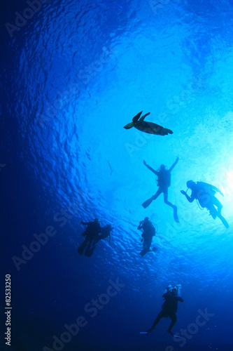 Scuba diving with sea turtle silhouette © Richard Carey