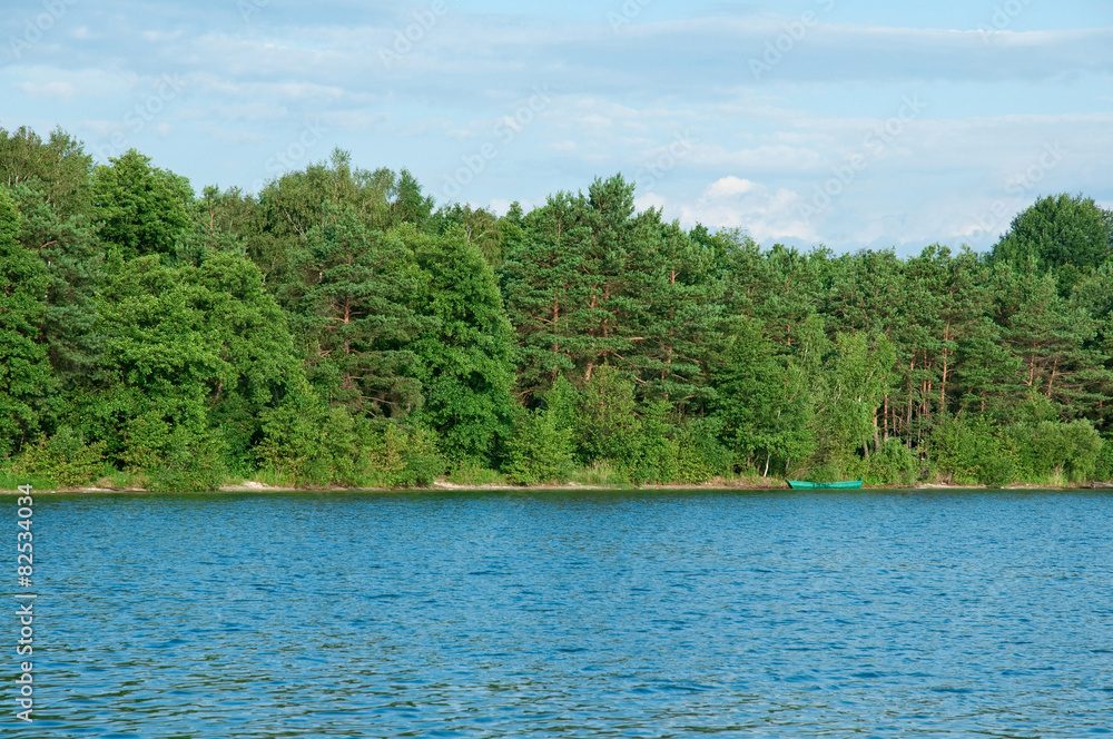 Lake in summer