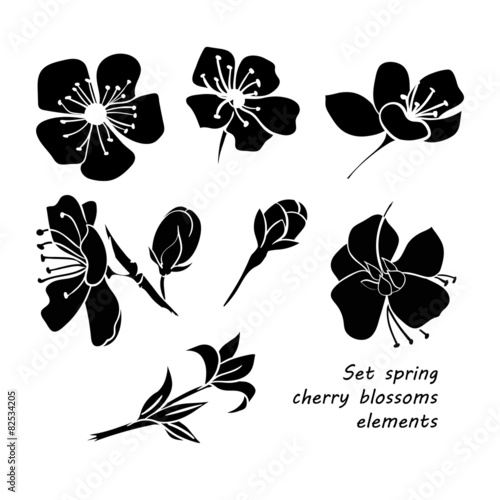 Set of black silhouette spring cherry blossom flowers