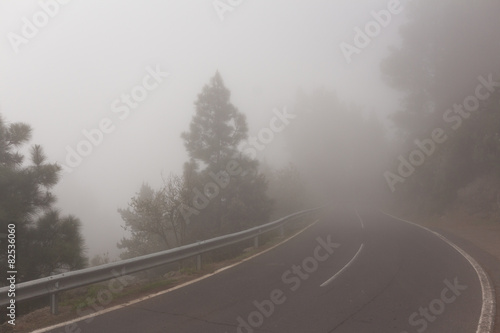 Empty road / street in thick fog