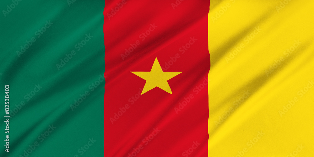 Obraz premium Flag of Cameroon