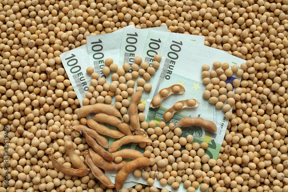 Fototapeta premium Agricultural concept, soybean and Euro money