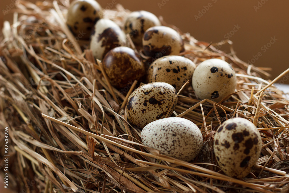 Obraz premium The picture quail eggs