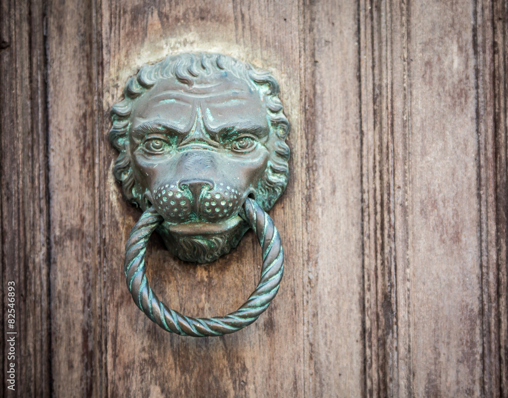 lion doorknocker