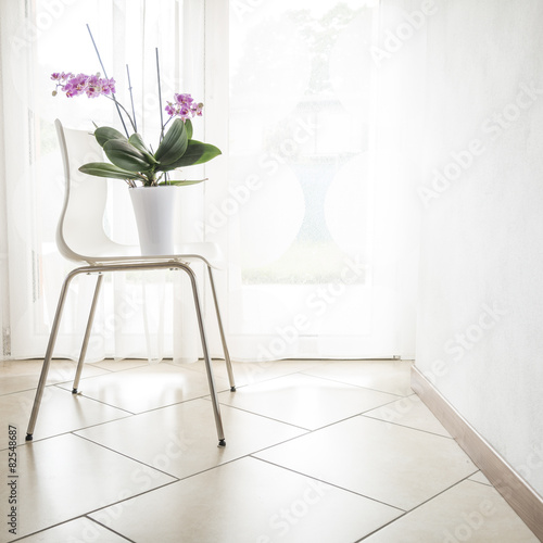 Fototapeta Naklejka Na Ścianę i Meble -  orchidea