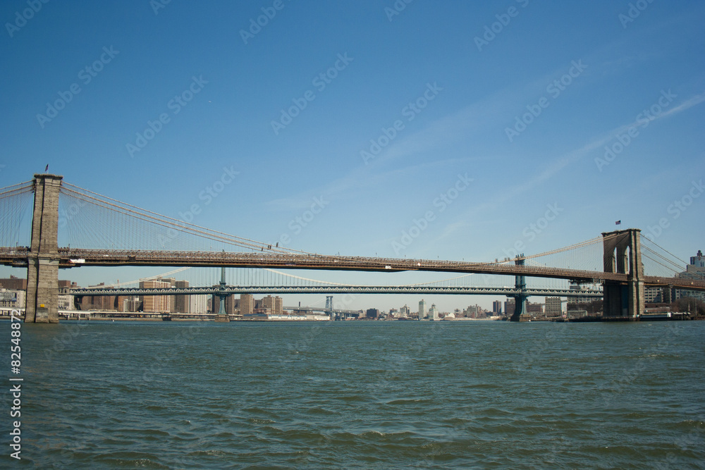 Fototapeta premium brooklyn bridge