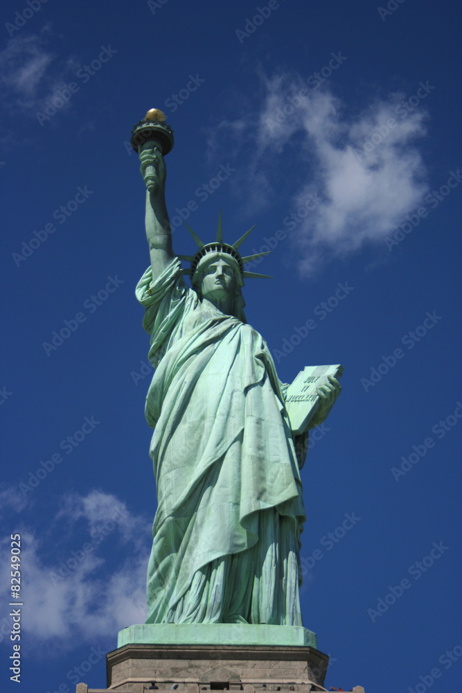 Fototapeta premium pani wolności