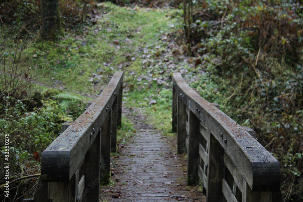 Fototapeta premium Brücke aus Holz