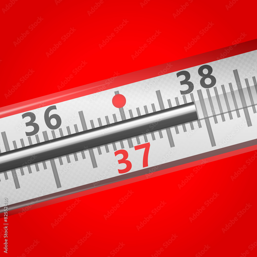 Mercury Thermometer Mercury Thermometer