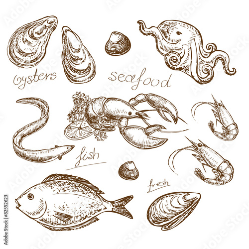hand drawn illustration seafood