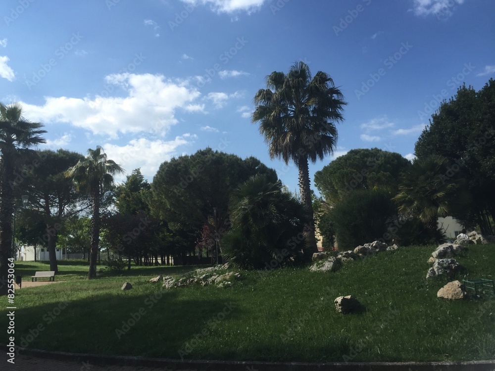 Fototapeta premium parco