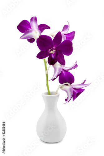 Blossom purple orchid in white vase