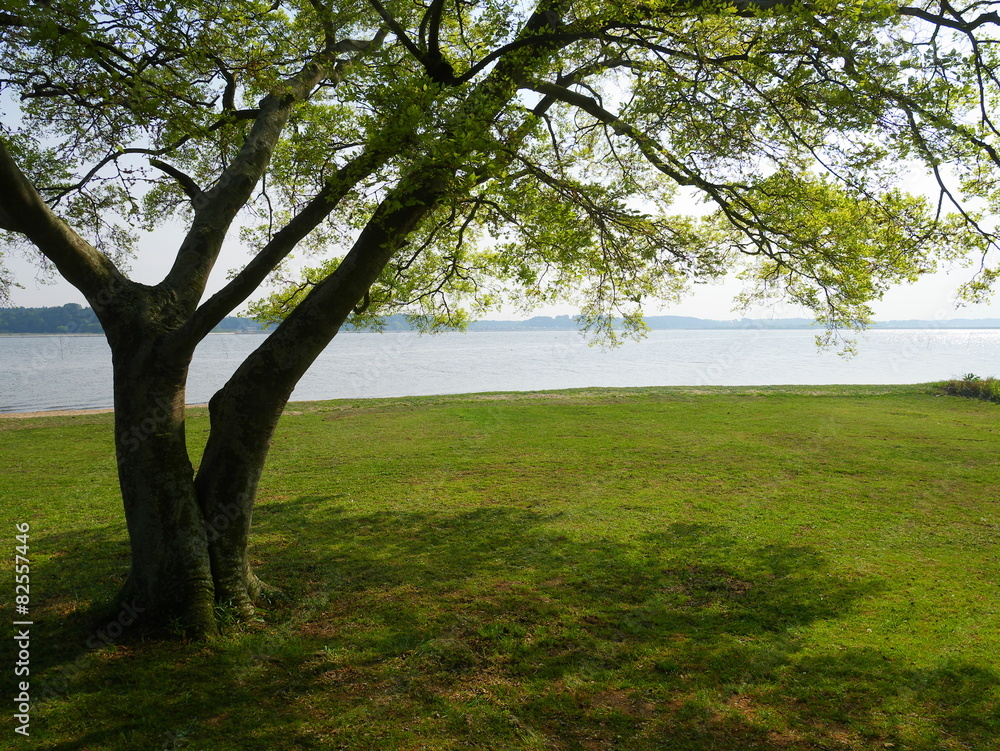 涸沼　親沢公園