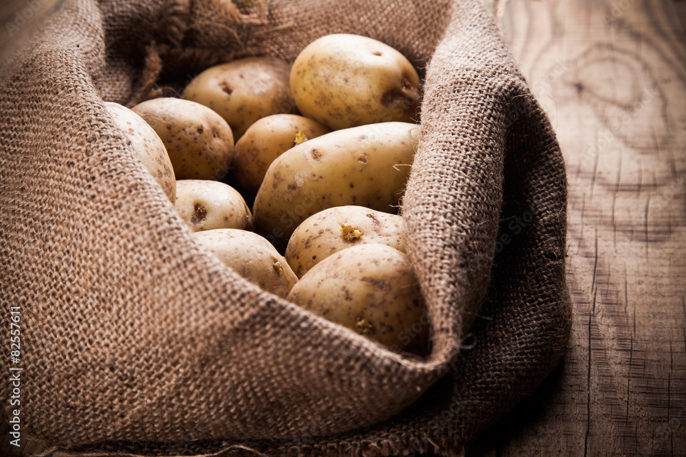 Harvest potatoes in burlap sack