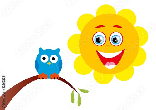 sowa,ptak,słonce,pogoda