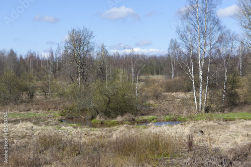 Река Лубья (Луппа) в Приютино. Ленинградская область.