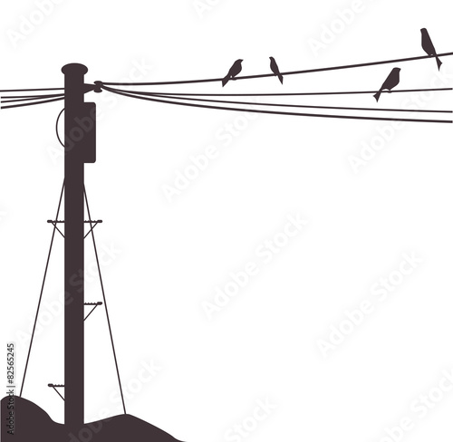 A few birds sitting on a telegraph wire