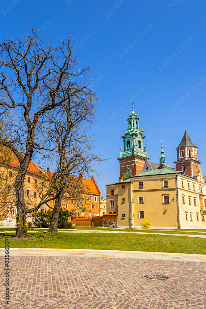 Royal Wawel Castle, Krakow, Poland